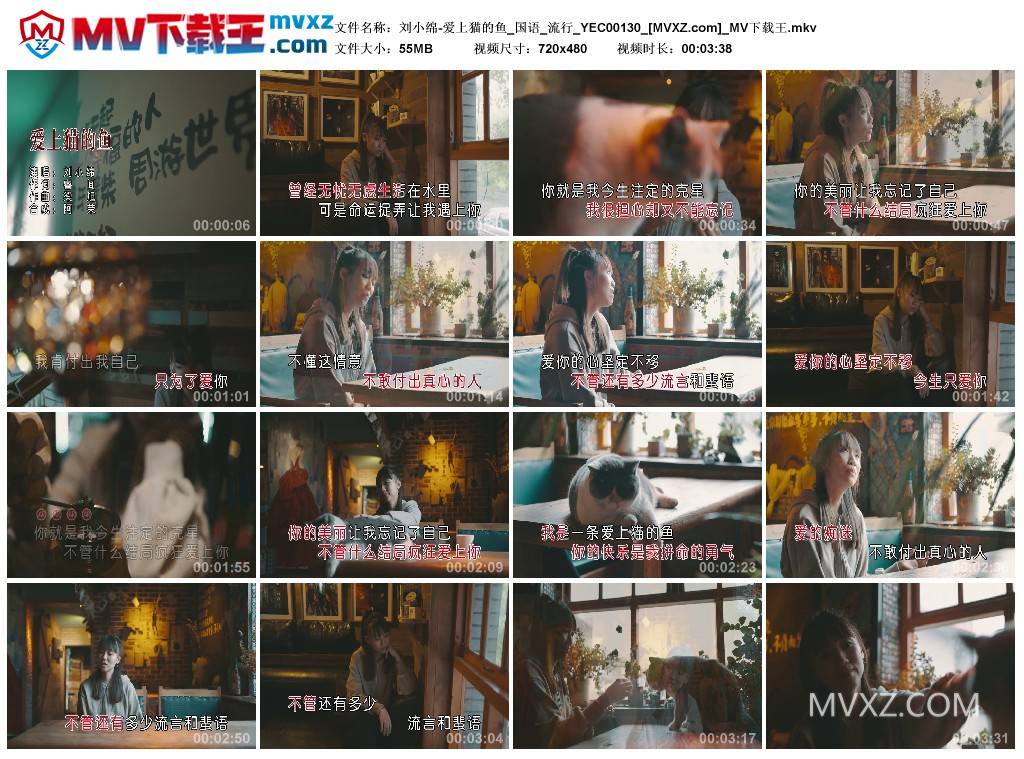 刘小绵-爱上猫的鱼_国语_流行_YEC00130